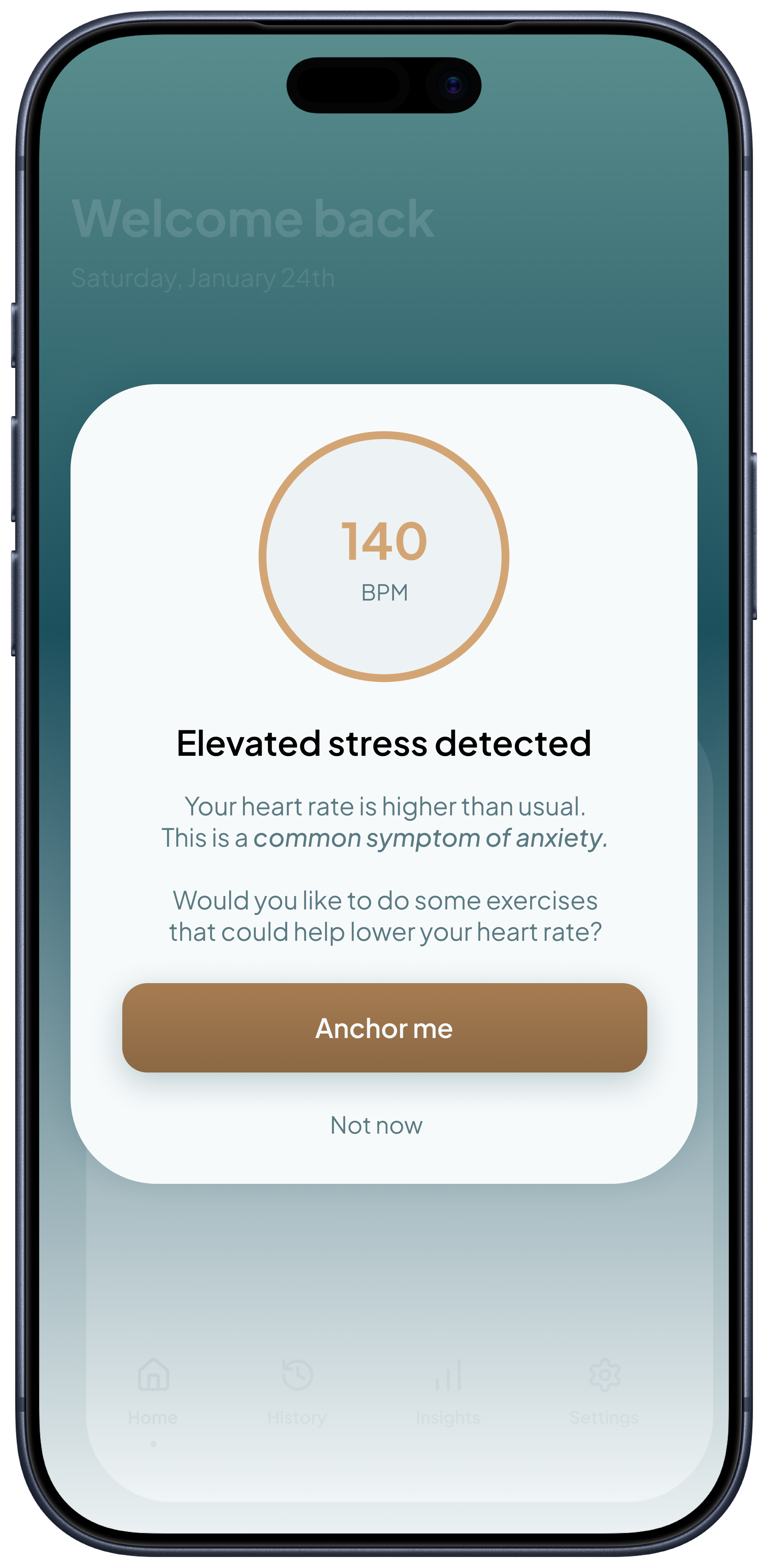 STOA — Detection Alert screen