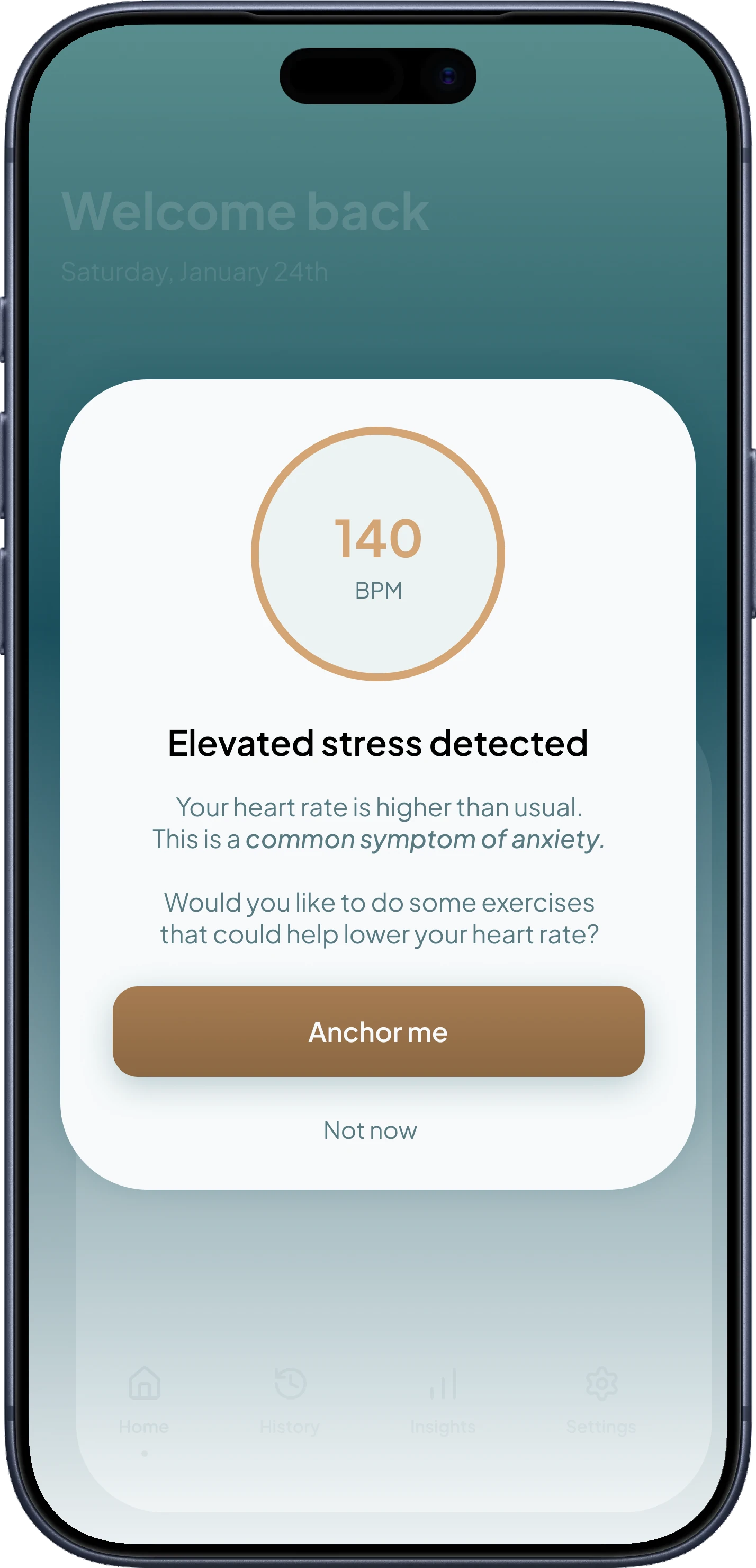 STOA — Detection Alert screen
